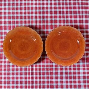 Pier 1 Imports Set of 2 Orange Carmelo Melamine Dinner Plates Crackle Finish